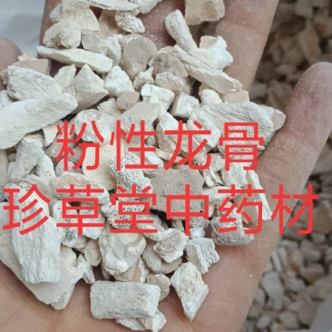 龙骨水洗龙骨批发零售各种规格中药材龙骨欢迎选购