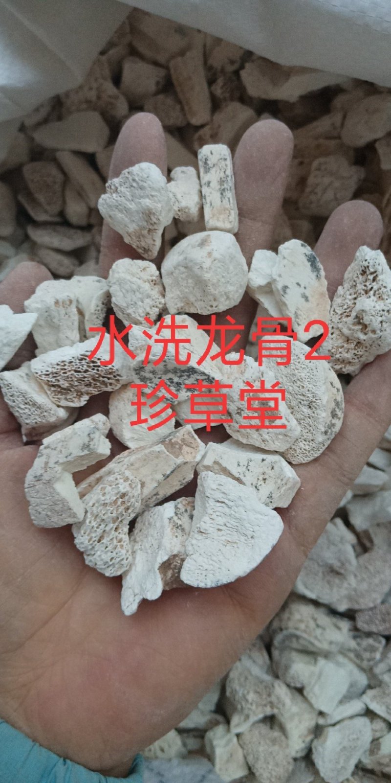 龙骨水洗龙骨批发零售各种规格中药材龙骨欢迎选购