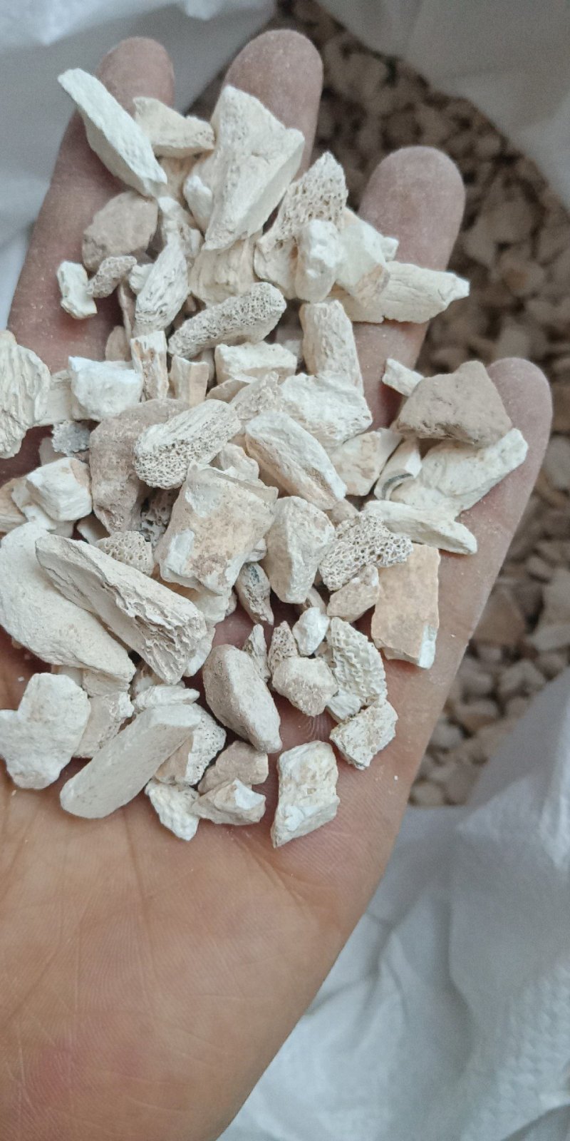 龙骨水洗龙骨批发零售各种规格中药材龙骨欢迎选购