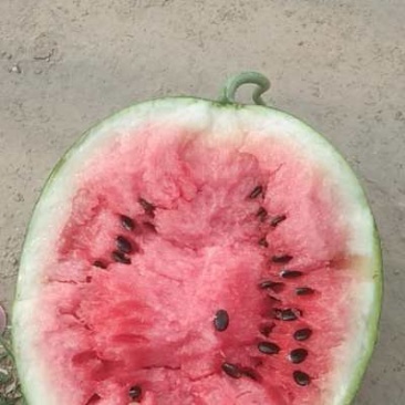 西瓜