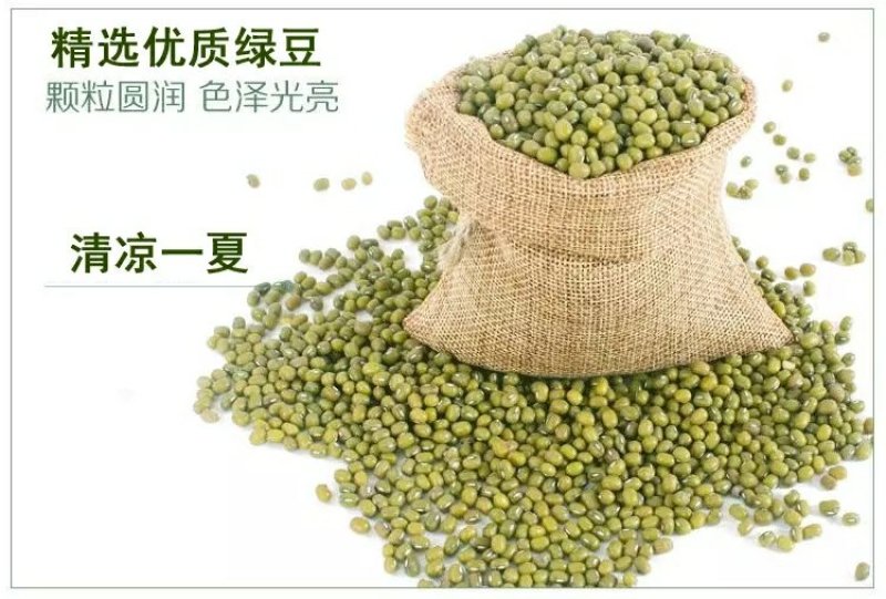 铜关绿豆粉皮干货亳州特产农家自制1斤装