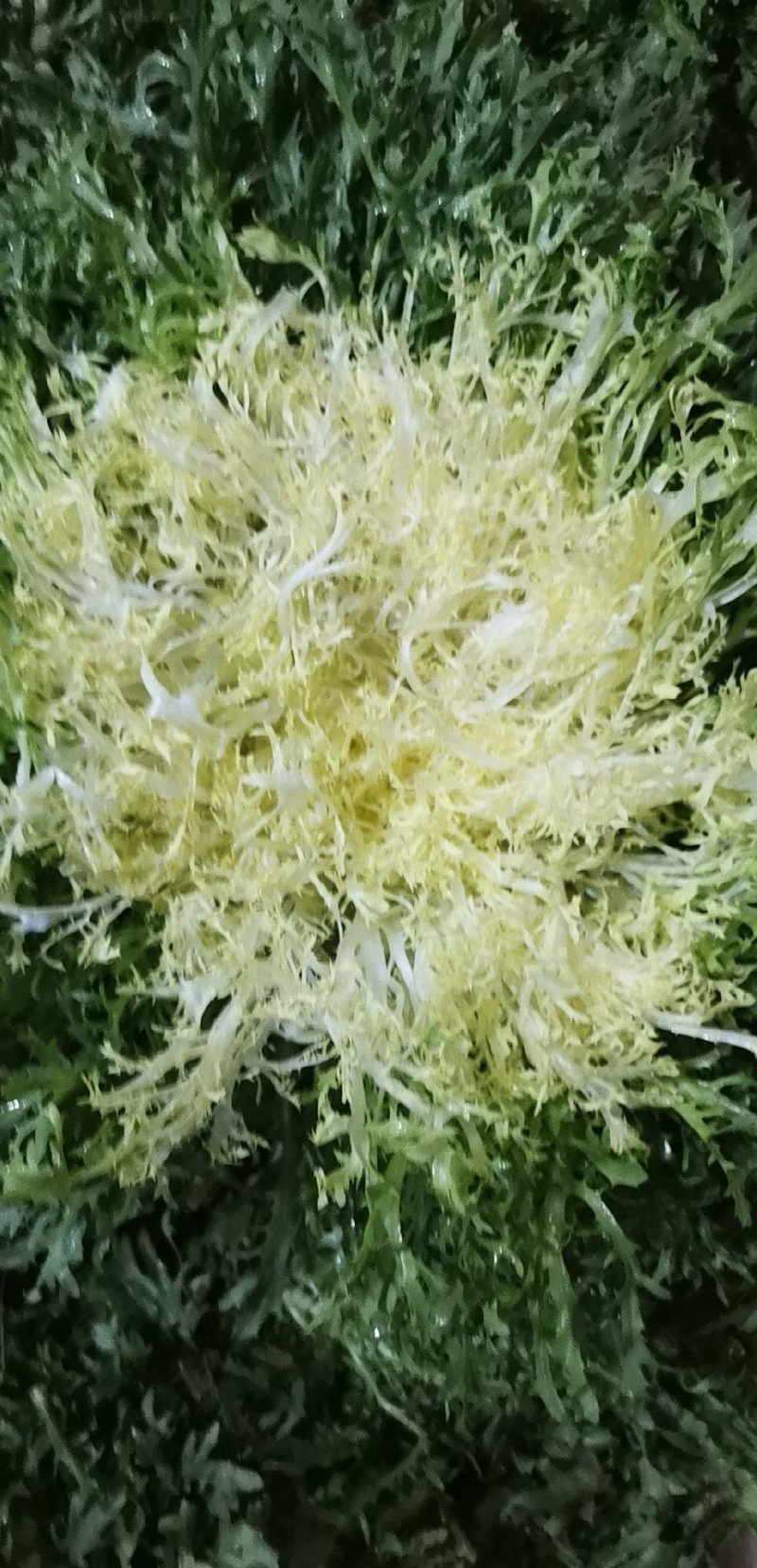 速购