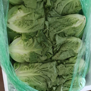 速购