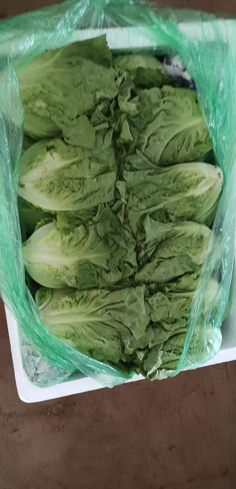 速购
