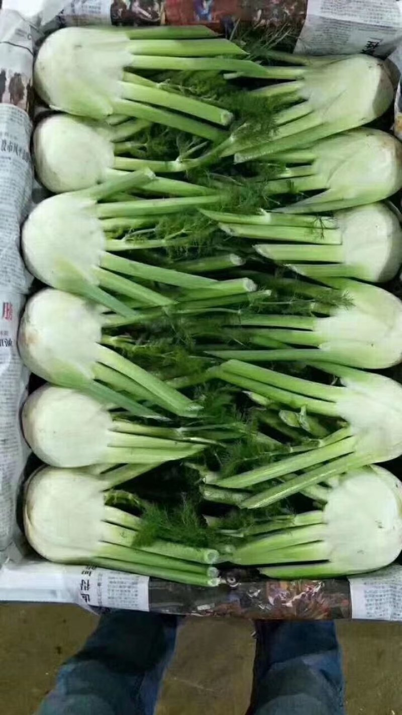 速购
