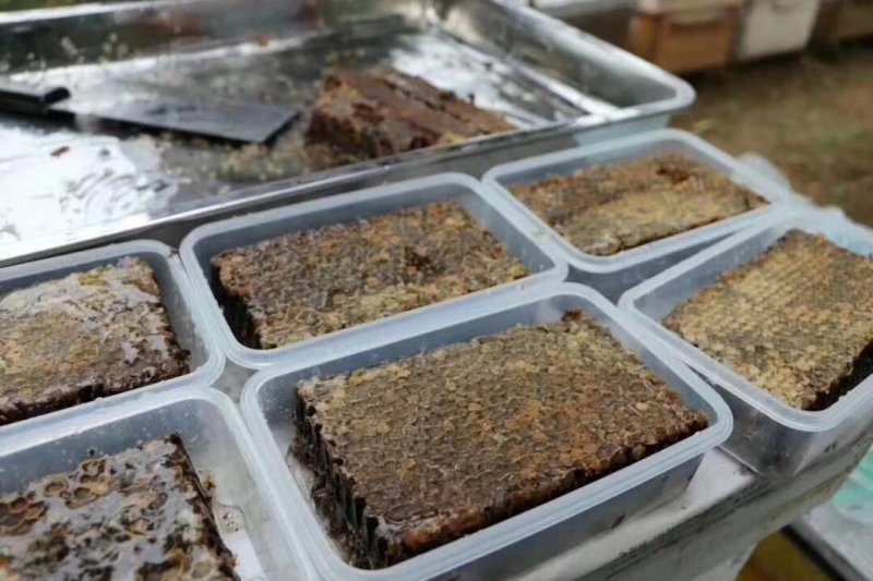 【包邮】老蜂巢蜜老巢蜜500克/盒装送木勺一把