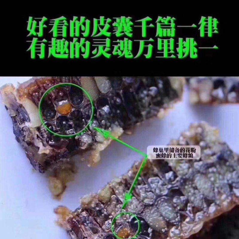 【包邮】老蜂巢蜜老巢蜜500克/盒装送木勺一把