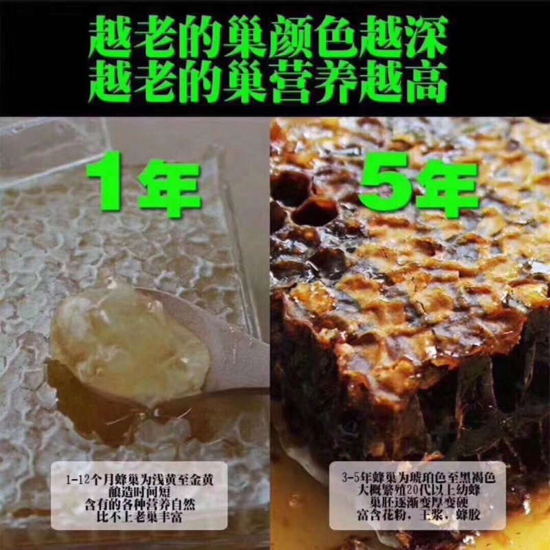【包邮】老蜂巢蜜老巢蜜500克/盒装送木勺一把