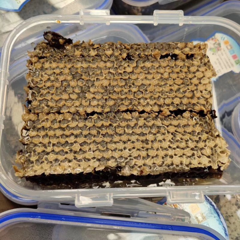 【包邮】老蜂巢蜜老巢蜜500克/盒装送木勺一把