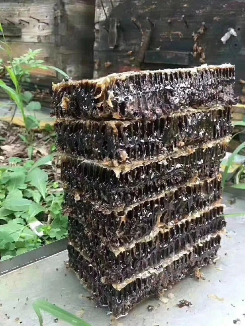 【包邮】老蜂巢蜜老巢蜜500克/盒装送木勺一把