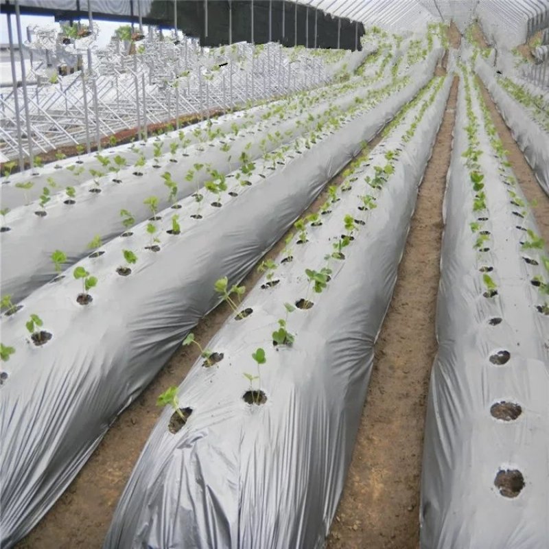 果园果树双色银黑地膜反光除草防虫保湿农用薄膜葡萄银灰净重