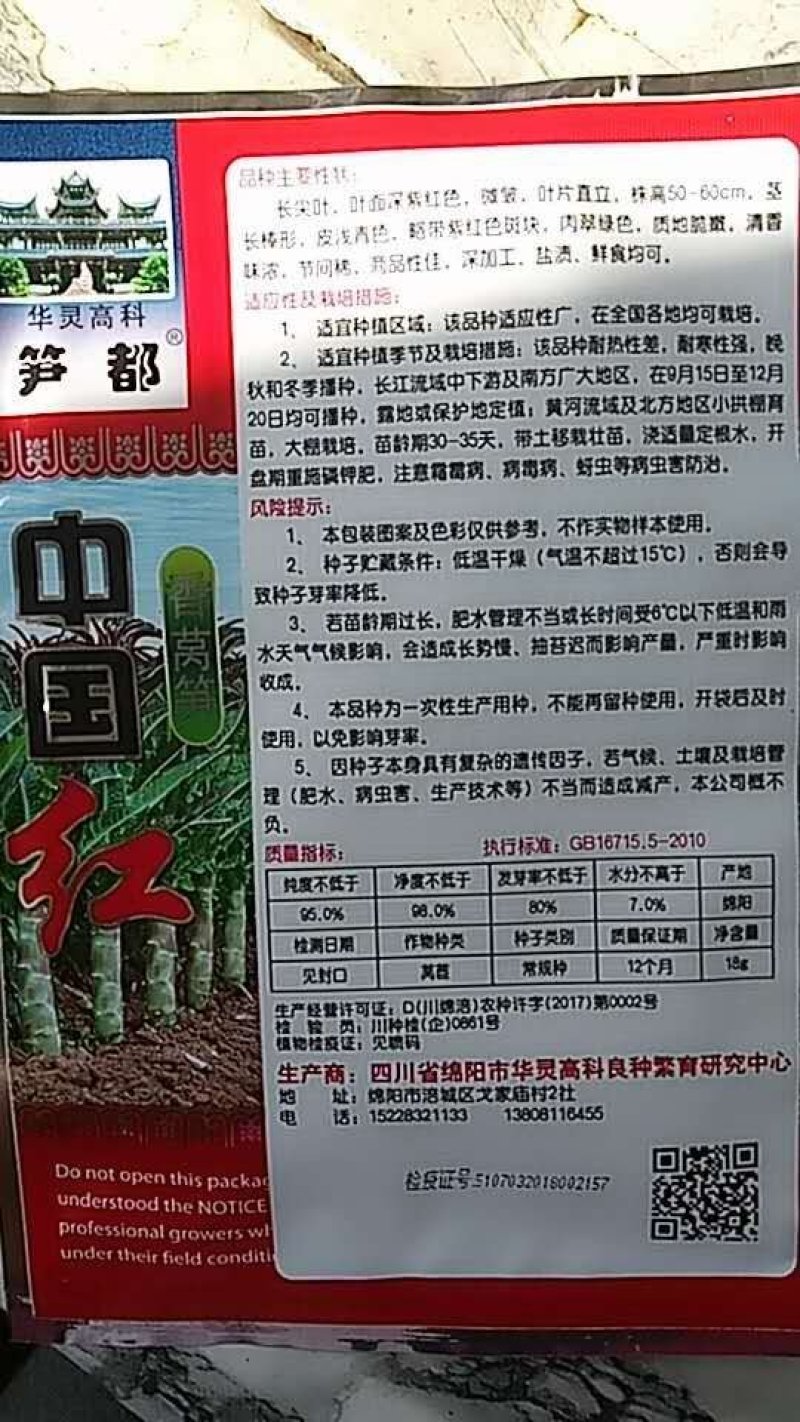 大尖叶种植既耐热又耐寒淡绿味清香脆嫩