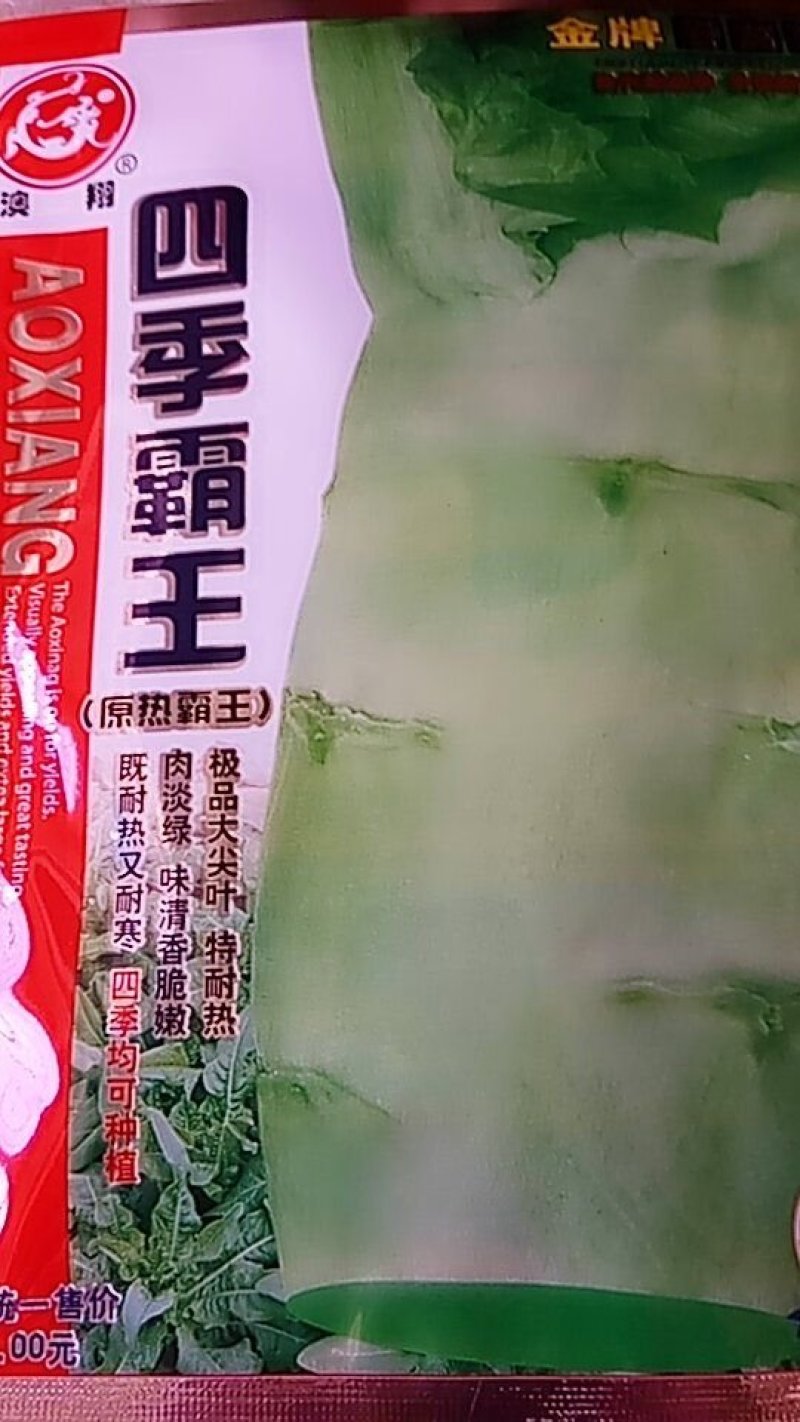 四季霸王莴笋，大尖叶，耐热。香脆嫩