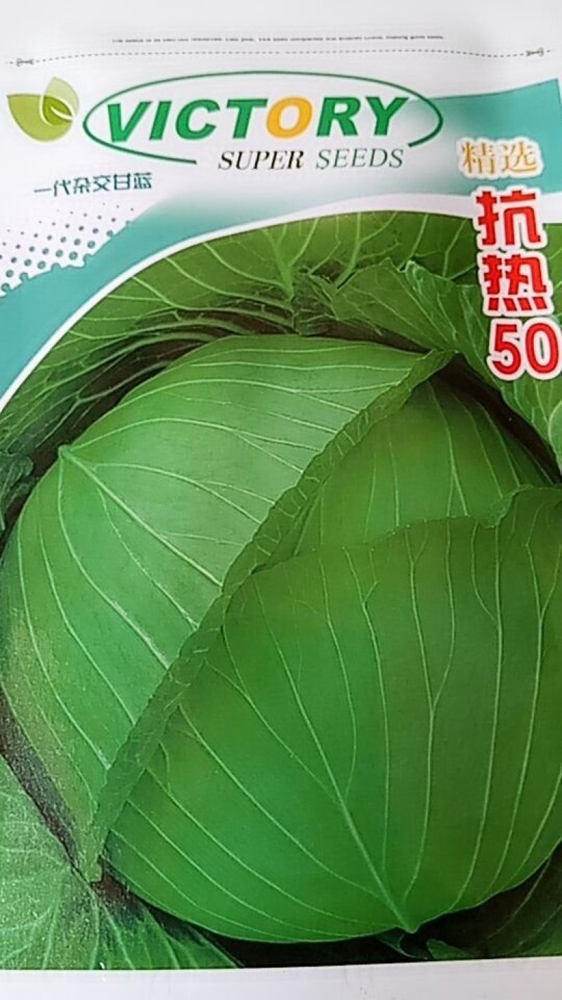 抗热50包菜种子，特耐高温。