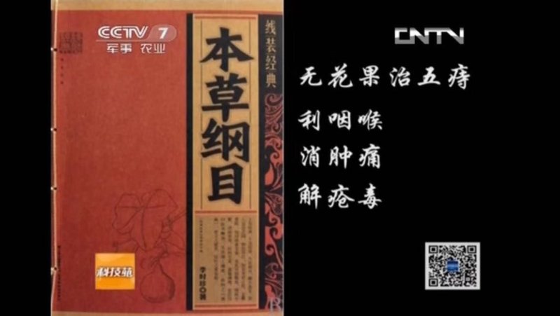 无花果大量上市