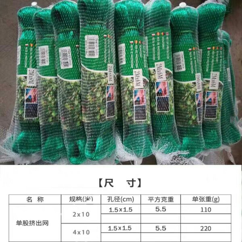 防鸟网果园菜园葡萄园鱼塘天网园艺用品家用阳台耐老化尼龙拦