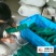 防鸟网果园菜园葡萄园鱼塘天网园艺用品家用阳台耐老化尼龙拦