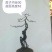 金弹子