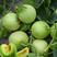 日本甜宝梨瓜种籽金钻甜宝香瓜种子薄皮甜瓜种子极早熟产量高