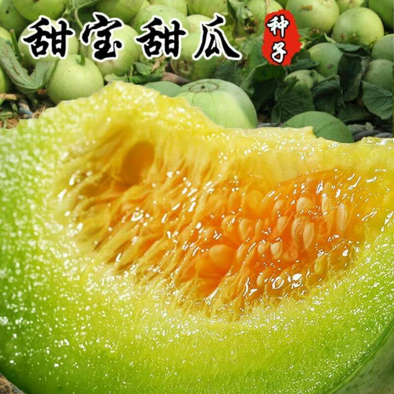 甜宝梨瓜种籽金钻甜宝香瓜种子薄皮甜瓜梨瓜种子极早熟产量高