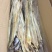 鳗鱼干8/9成干