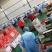 厂家批发枣夹核桃栆仁派真空包装办公休闲小零食