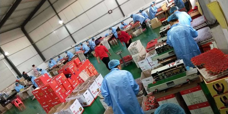 厂家批发枣夹核桃栆仁派真空包装办公休闲小零食