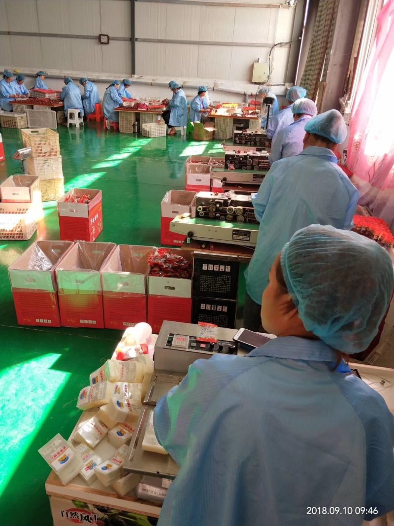 厂家批发枣夹核桃栆仁派真空包装办公休闲小零食