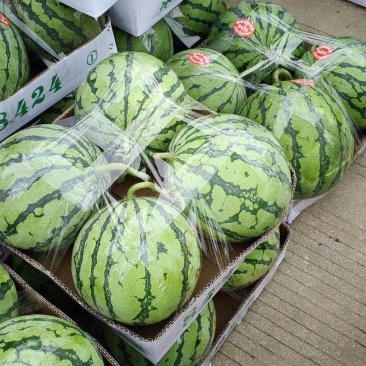 8424