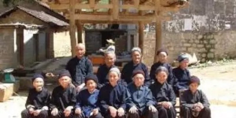 贫困户散养的土鸡