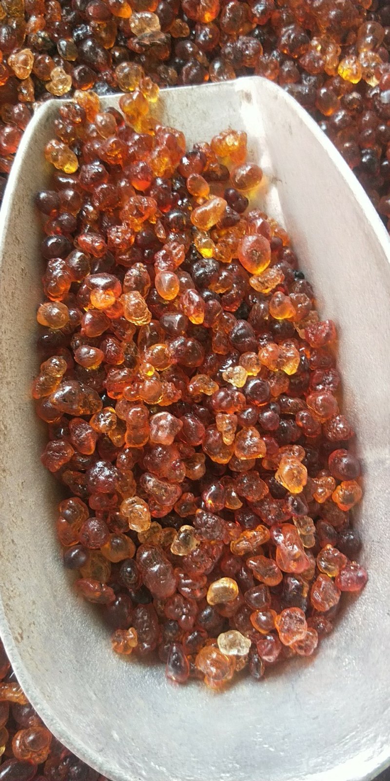 包邮桃胶桃花泪干净无杂质供应上千种中药材