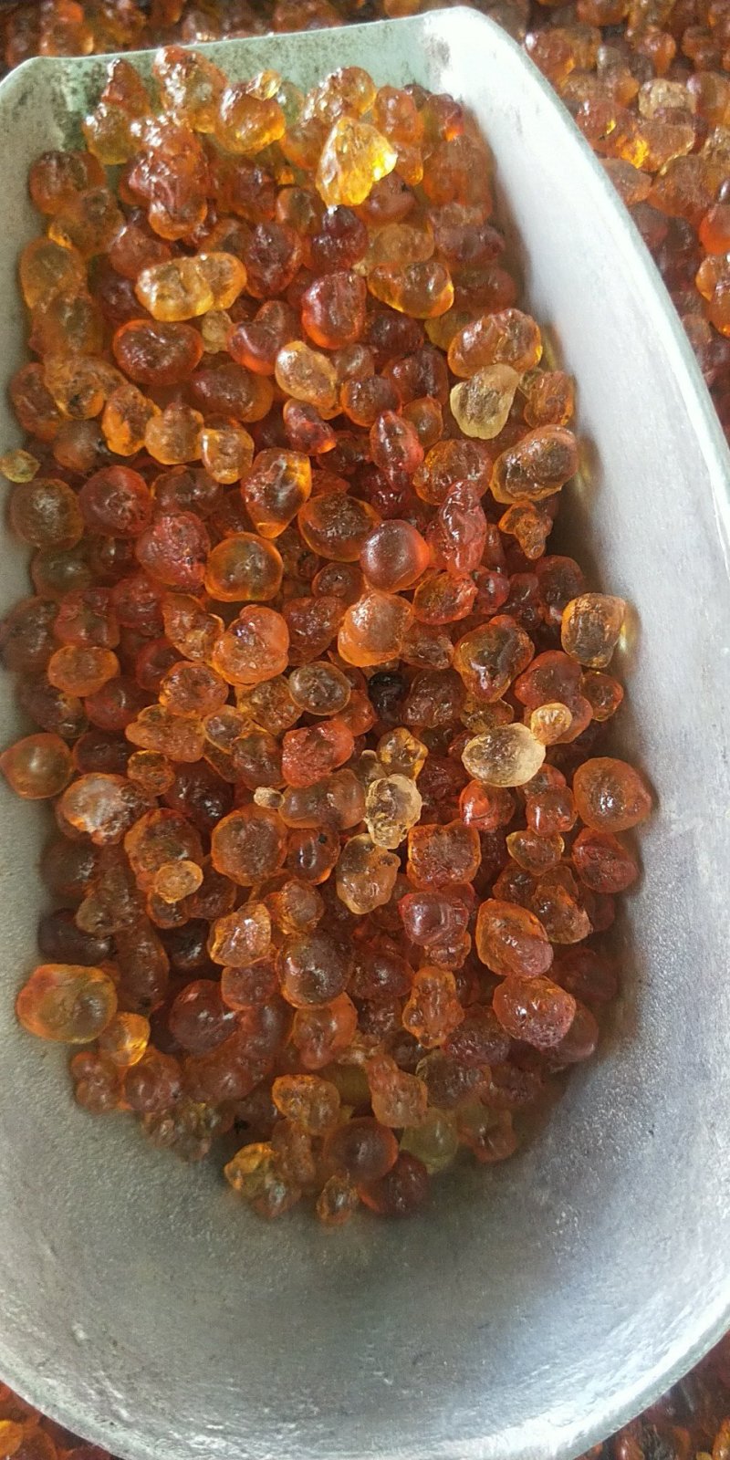 包邮桃胶桃花泪干净无杂质供应上千种中药材