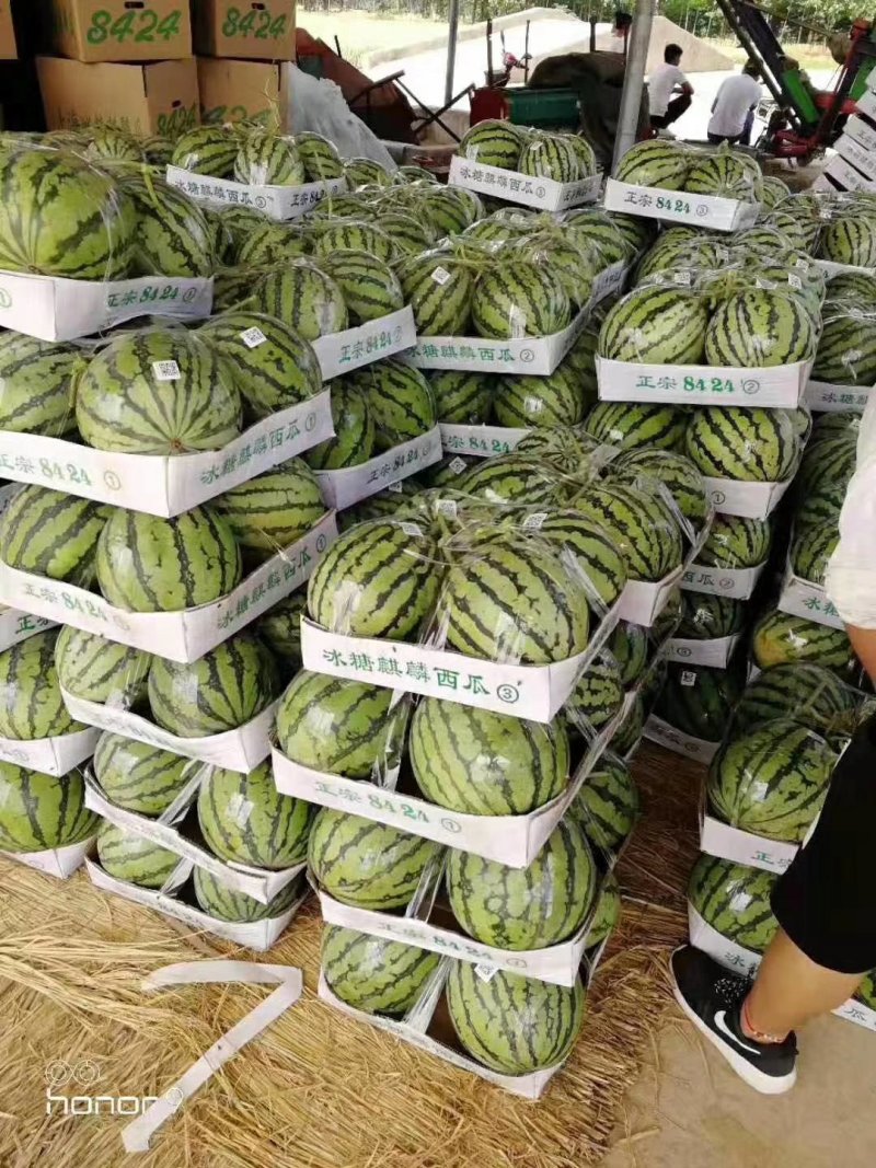 西瓜