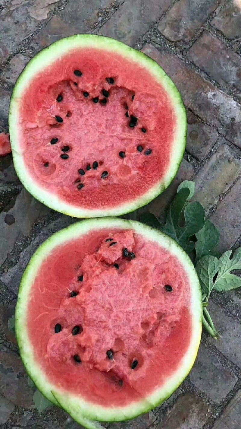西瓜