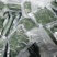 桑芽菜食用桑叶产地直销省内100包起包邮