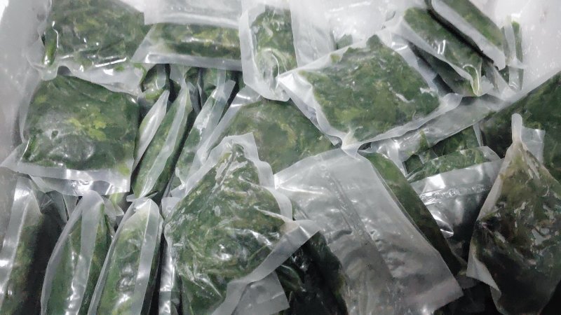 桑芽菜食用桑叶产地直销省内100包起包邮