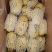 代办山东胶东荷兰土豆十五系列土豆！