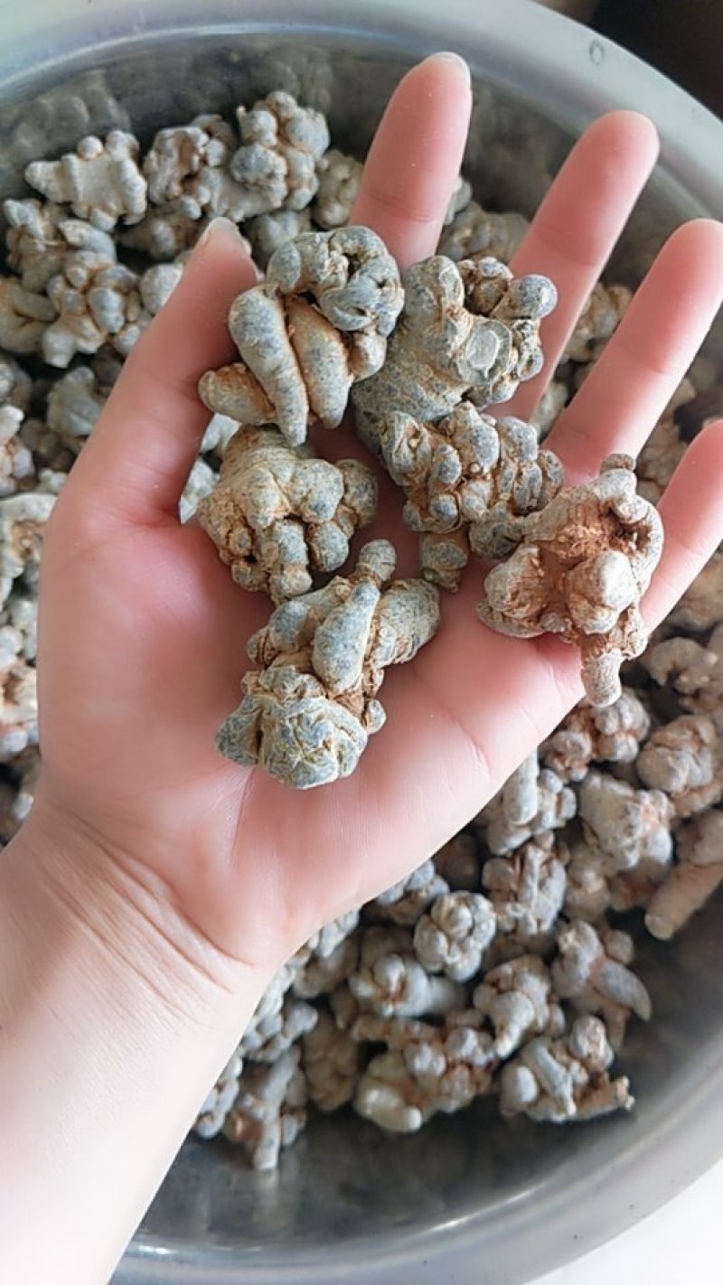 振兴药材批发供应60头水洗三七保质保量常年供应诚信合