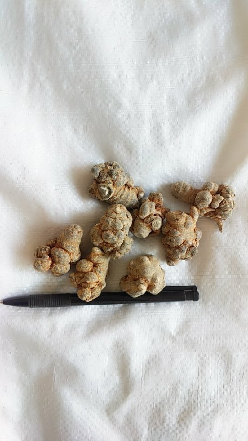振兴药材批发供应60头水洗三七保质保量常年供应诚信合