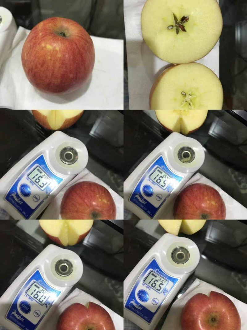 吉县红富士苹果产地直发