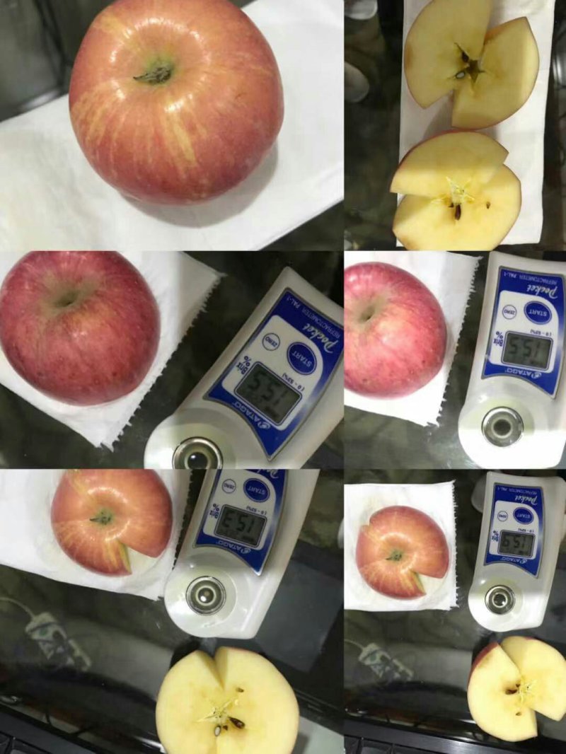吉县红富士苹果产地直发