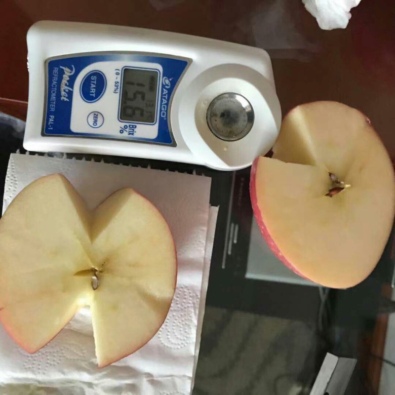 吉县红富士苹果产地直发