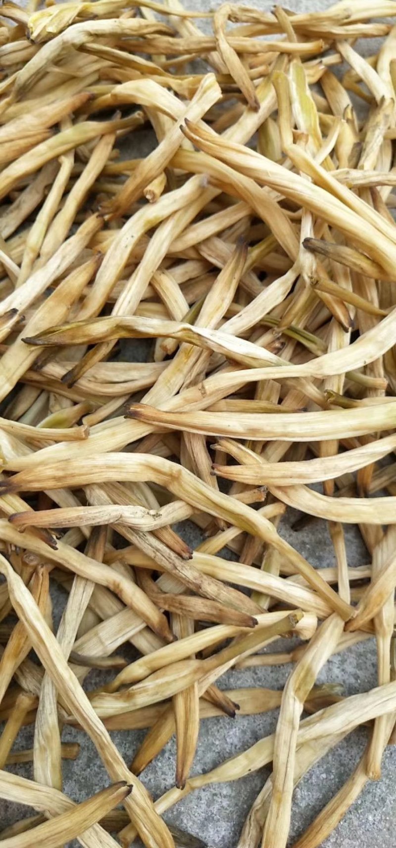 大荔县黄花菜自家种植大量低价出售，每件20斤长期供