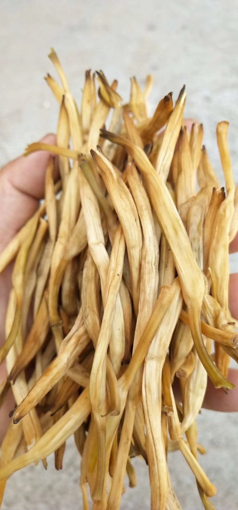 大荔县黄花菜自家种植大量低价出售，每件20斤长期供