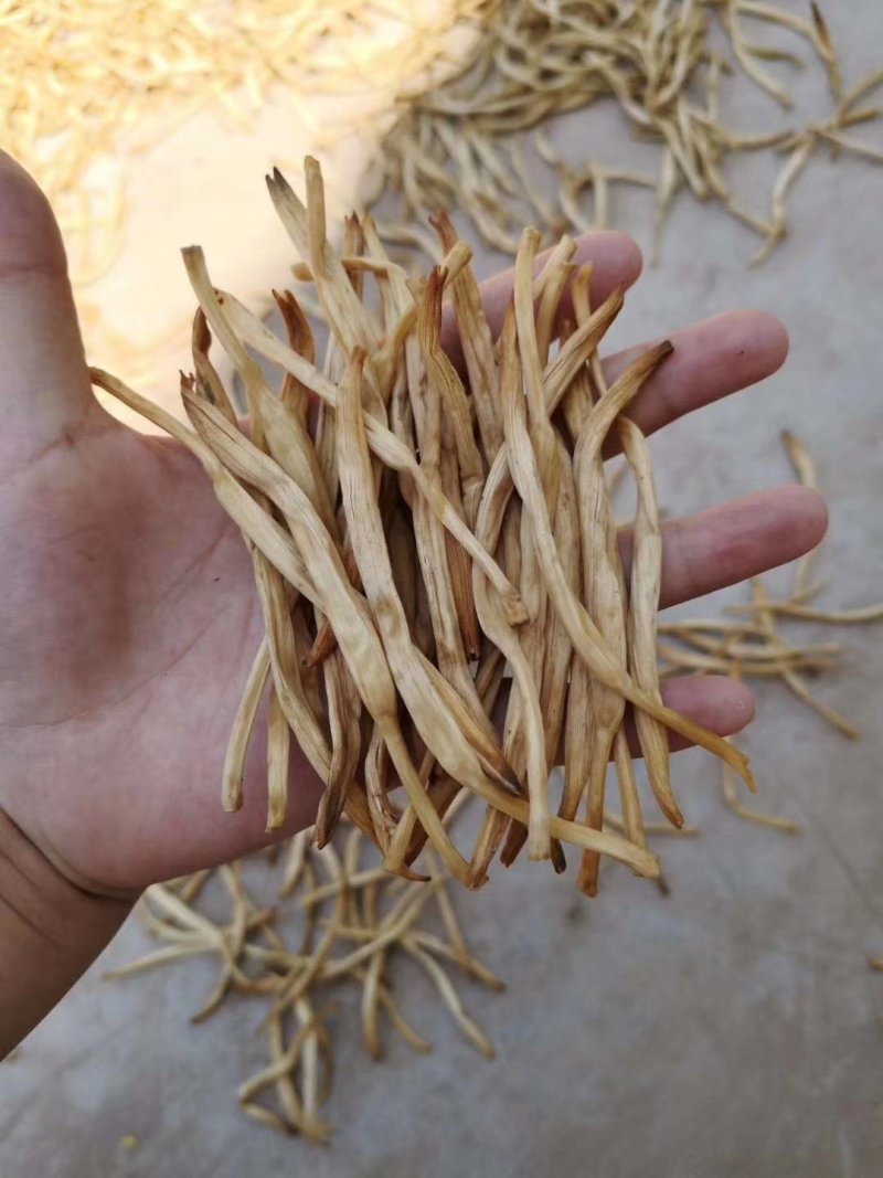 大荔县黄花菜自家种植大量低价出售，每件20斤长期供