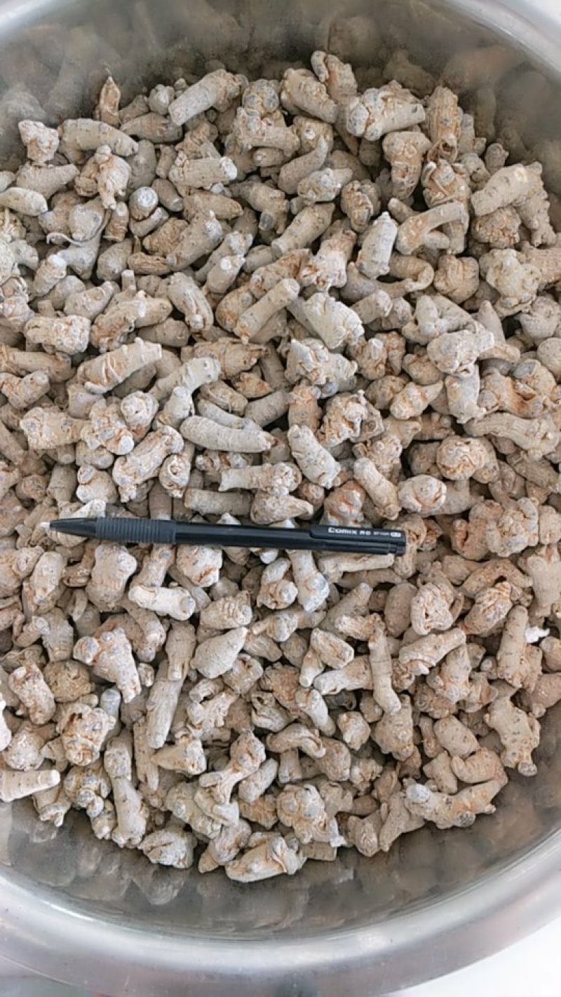 振兴药材批发供应200头水洗三七产地直供一手货源全国发货