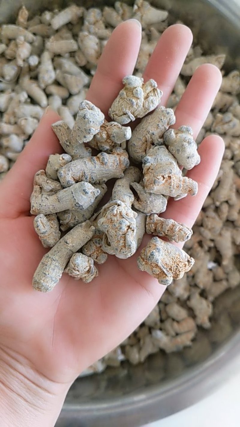 振兴药材批发供应200头水洗三七产地直供一手货源全国发货