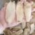 振兴药材批发供应无硫天麻片保质保量常年供应诚信合作