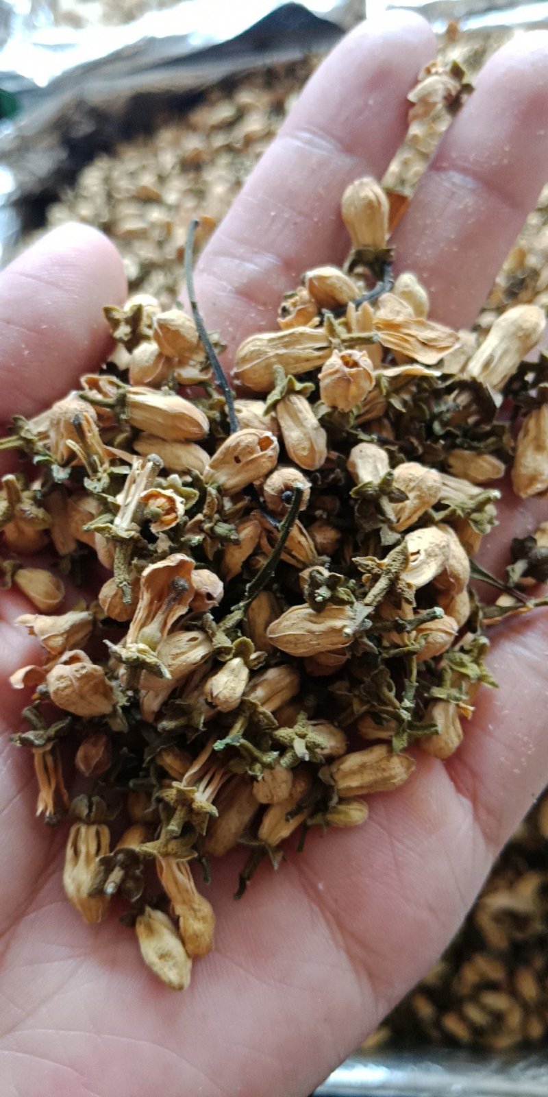 玳玳花批发各种中药材批发零售各种规格中药材