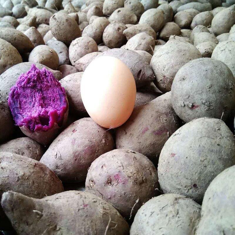 迷你小紫薯5斤装小番薯地瓜非红薯新鲜蔬菜